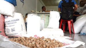 Penjual Menjerit , Harga Pinang di Banda Aceh Terjun Bebas