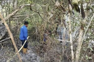 BPBA: 16 hektare lahan di Aceh Besar terbakar di puncak kemarau