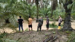 Tenggelam di Alur Kebun Sawit, Bocah Delapan Tahun Meninggal Dunia