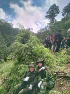 BNN RI Musnahkan 4 Hektar Ladang Ganja Siap Panen Di Kawasan Aceh Besar.