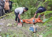 Penemuan Tengkorak dan Kerangka Manusia, Korban Dilaporkan Hilang 56 Hari Lalu