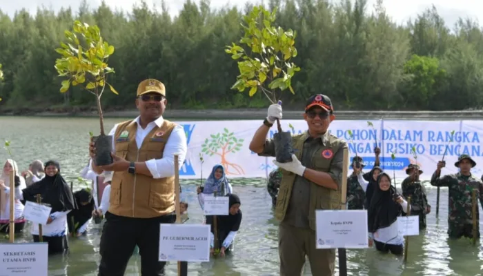 Pj Gubernur Safrizal bersama Kepala BNPB Tanam Mangrove di Kuala Cangkoi