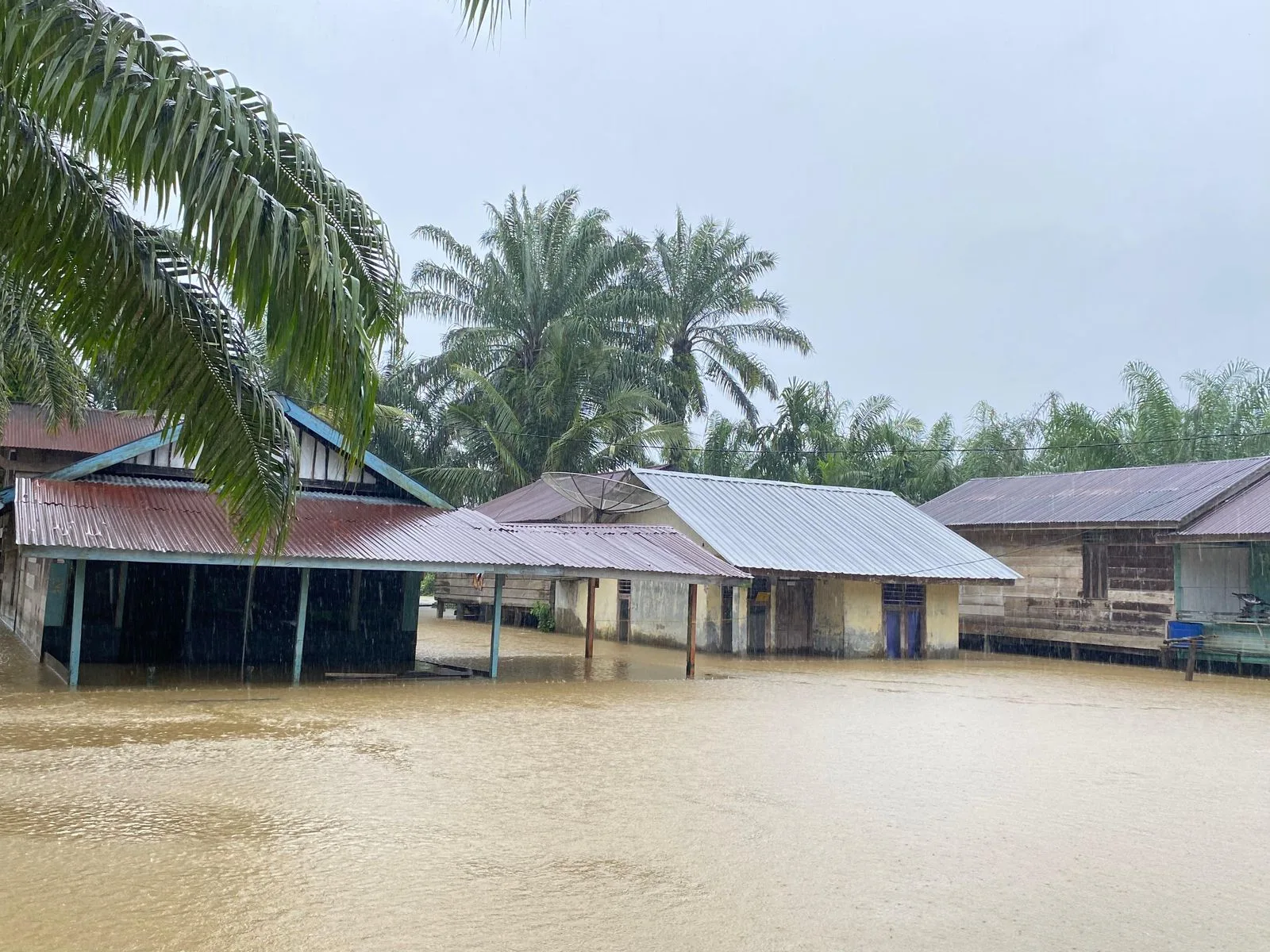 Banjir Rendam Tiga Kecamatan di Aceh Singkil, 2.396 Jiwa Terdampak