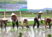 Aceh Besar Komit Pertahankan Swasembada Pangan