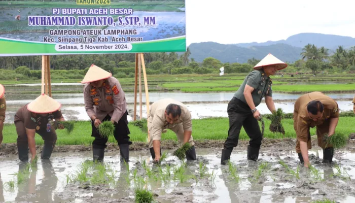Aceh Besar Komit Pertahankan Swasembada Pangan