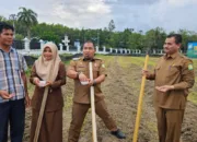 Dukung Ketahanan Pangan, Halaman Meuligoe Bupati Ditanami Jagung Manis