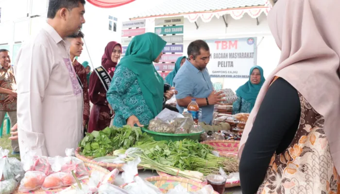 Pj Ketua TP-PKK Aceh Besar Sambut Kedatangan Tim Penilai Gammawar Provinsi di Gampong Kajhu