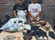 Ungkap Perdagangan Satwa Liar, Polisi Amankan Dua Pelaku di Aceh Besar