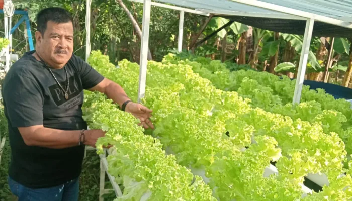 Keuchik Gampong Lampulo Alta Zaini Dorong Inovasi Ketahanan Pangan dengan Hidroponik dan Biovlog