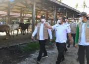 Antisipasi PMK, Pemkab Aceh Besar Semprot Desinfektan Ternak di Pasar Hewan Sibreh