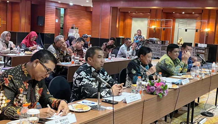 Pj Bupati Aceh Besar Ikuti Rakor Lintas Sektor Rencana Detail Tata Ruang Bersama Kementerian ATR/BPN