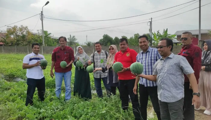 Lambaro Skep Wujudkan Ketahanan Pangan Melalui Budidaya Semangka