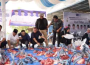 Demokrat Aceh Sembelih 4 Ekor Sapi Kurban Idul Adha 1446 H