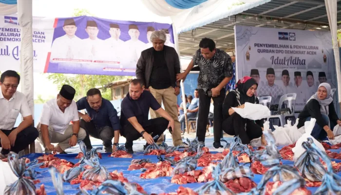 Demokrat Aceh Sembelih 4 Ekor Sapi Kurban Idul Adha 1446 H