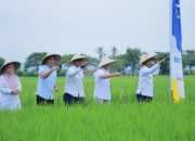 Wagub Aceh Launching BUMG Penyalur Pupuk Bersubsidi