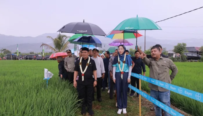 Bupati Aceh Besar Buka Gelar Edukasi Kemitraan dan Teknologi Better Life Farming