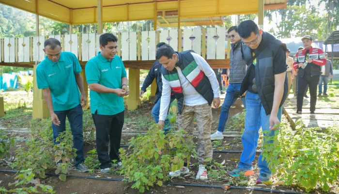 Touring Gunakan Sepmor, Wagub Kunjungi Lokasi Budidaya Nilam di Lhoong
