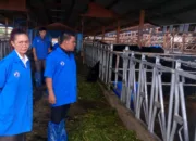 Bupati Aceh Besar Kunjungi Balai Embrio Ternak Cipelang