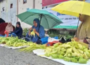 Pedagang Bungkusan Ketupat Musiman Ramai Jelang Idul Fitri di Aceh Besar