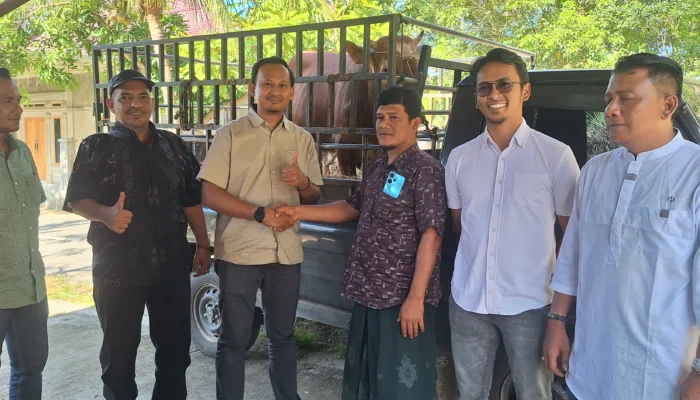 PT ANTAM Serahkan 4 Ekor Sapi Qurban untuk Masyarakat Aceh