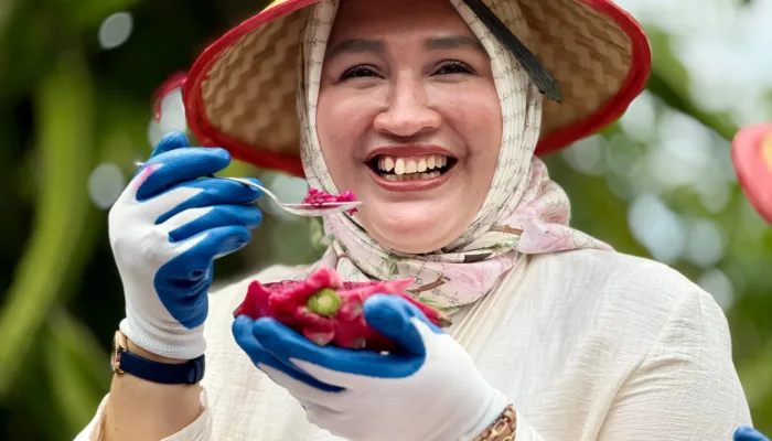 Kak Ana Panen Buah Naga Di Kota Sabang