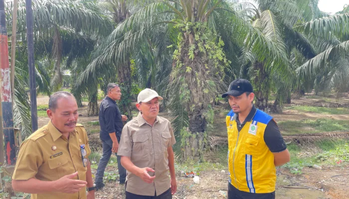 Wakil Gubernur Aceh Tinjau Infrastruktur Jalan dan Perusahaan Air Minum di Aceh Tamiang