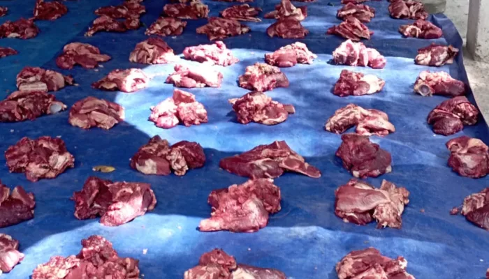 Warga Cot Mesjid Sembelih 18 Ekor Lembu dan 15 Kambing Kurban