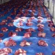 Warga Cot Mesjid Sembelih 18 Ekor Lembu dan 15 Kambing Kurban
