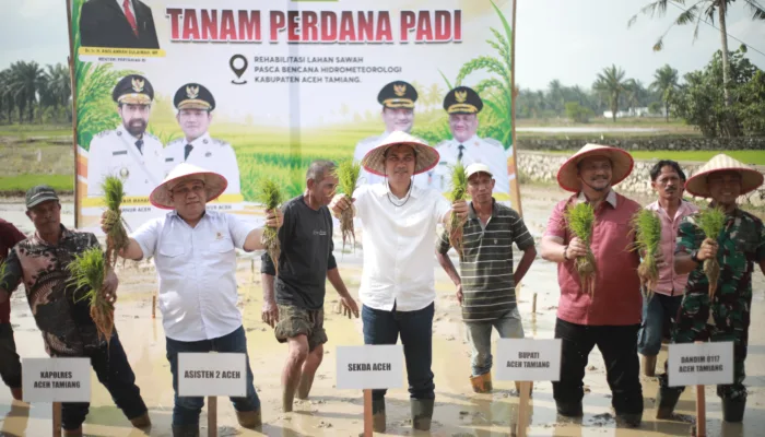 Pimpin Tanam Padi Perdana Pasca Bencana, Sekda Aceh : Jaga Stabilitas Pangan Tetap Aman