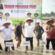 Pimpin Tanam Padi Perdana Pasca Bencana, Sekda Aceh : Jaga Stabilitas Pangan Tetap Aman
