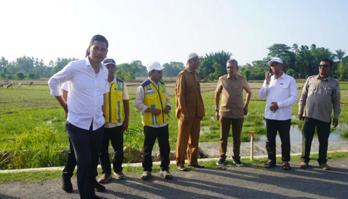 Sekda Aceh Tinjau Rehabilitasi Sawah di Aceh Timur, Dorong Percepatan Pemulihan Sektor Pertanian