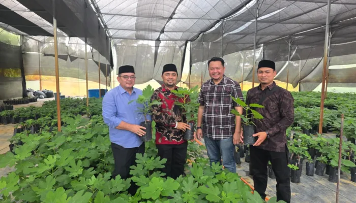 DMDI Aceh Dorong Pengembangan Perkebunan Buah Tin Modern untuk Meningkatkan Ekonomi Masyarakat dan Generasi Muda Aceh