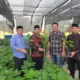 DMDI Aceh Dorong Pengembangan Perkebunan Buah Tin Modern untuk Meningkatkan Ekonomi Masyarakat dan Generasi Muda Aceh