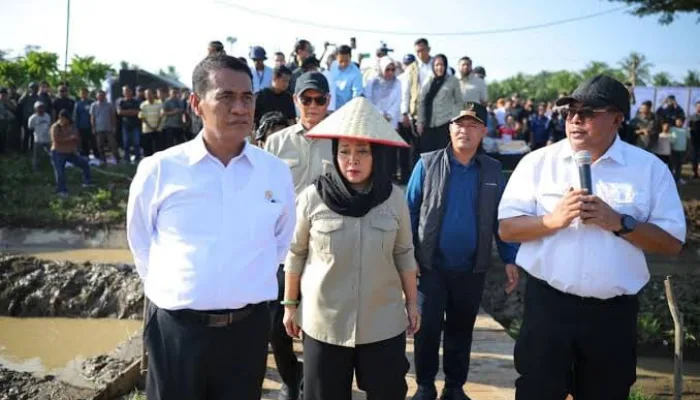 Pemerintah Aceh Jelaskan Posisi Bantuan Kementan untuk Pemulihan Sawah dan Kebun