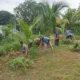 Semangat Gotong Royong Warga Lhong Raya Sambut HUT RI ke-81