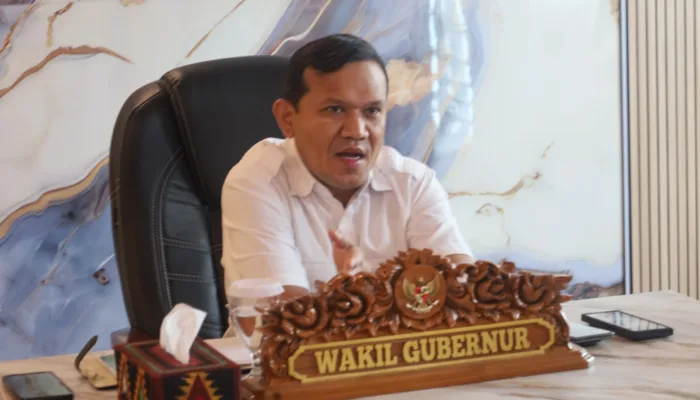 Wagub Minta Kabupaten/Kota Perkuat Koordinasi dengan BWS dan BPJN