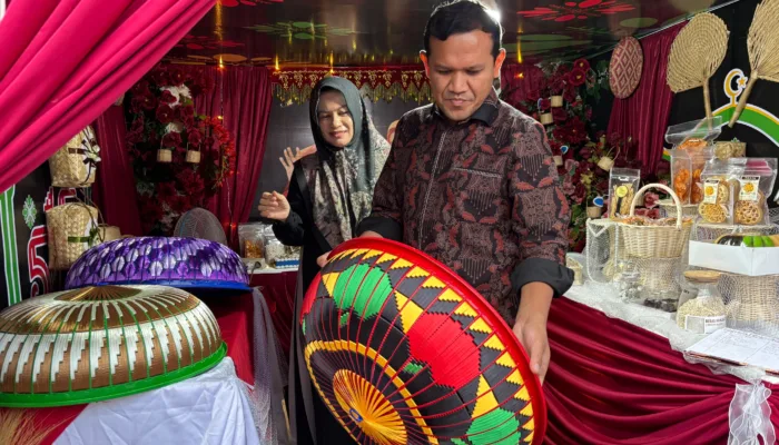 Wagub Aceh Kunjungi Stand Expo UMKM Pidie